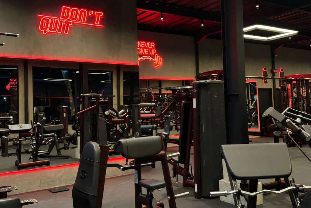 Alpha Gym — image 1