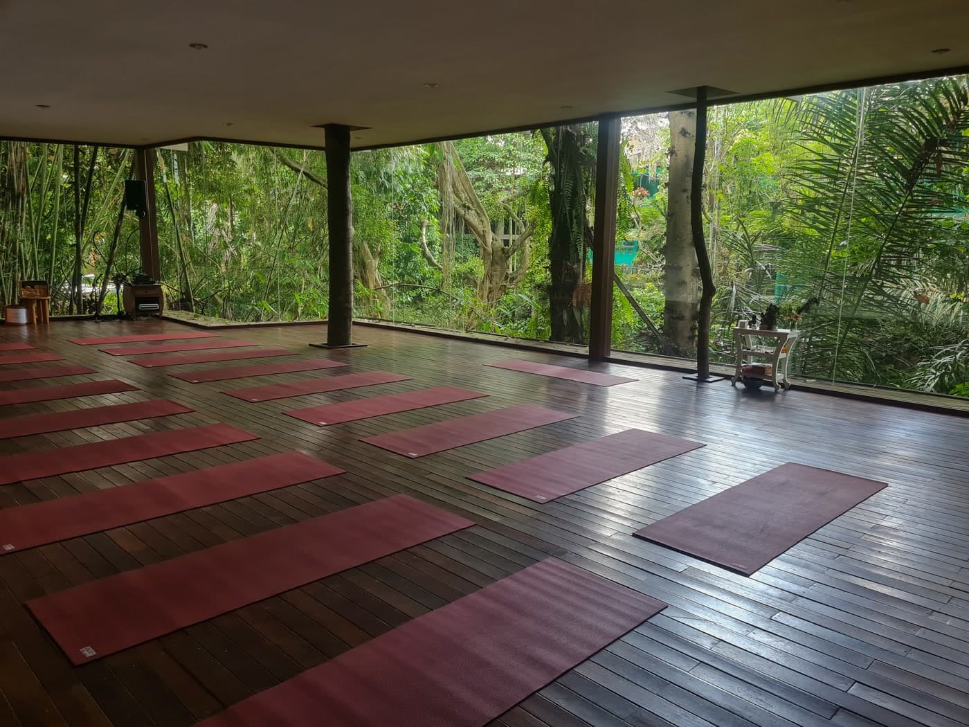 Radiantly Alive — image 1