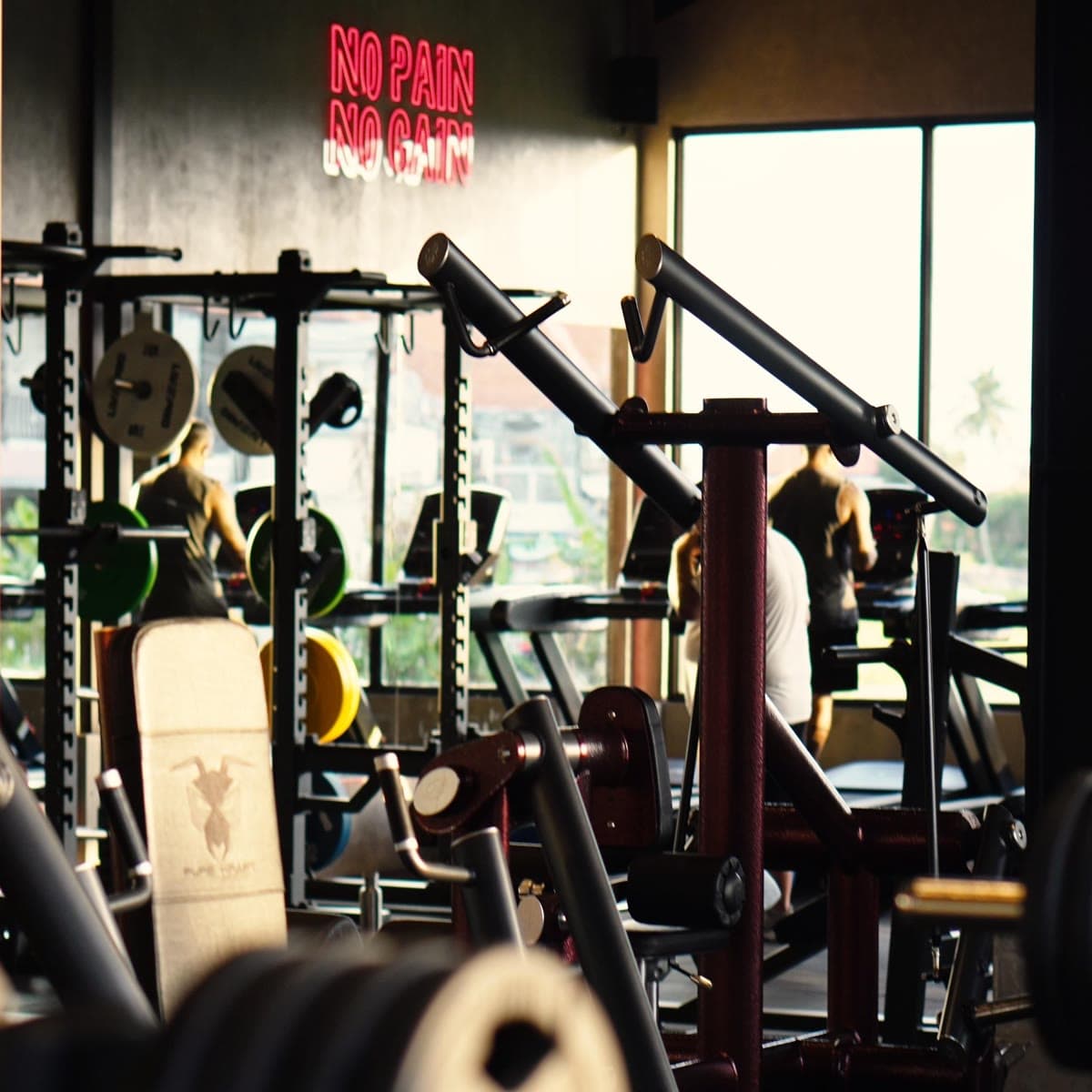 Alpha Gym