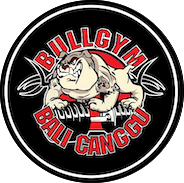 Bull Gym Canggu logo